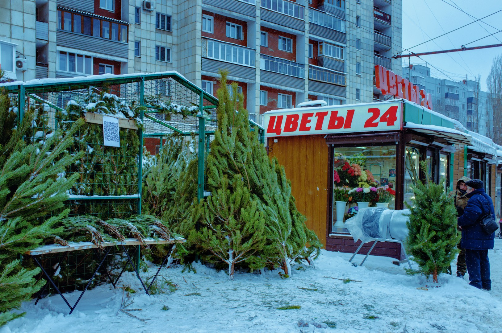 Зима уходящая. Руслан Шувалов (поэтограф)