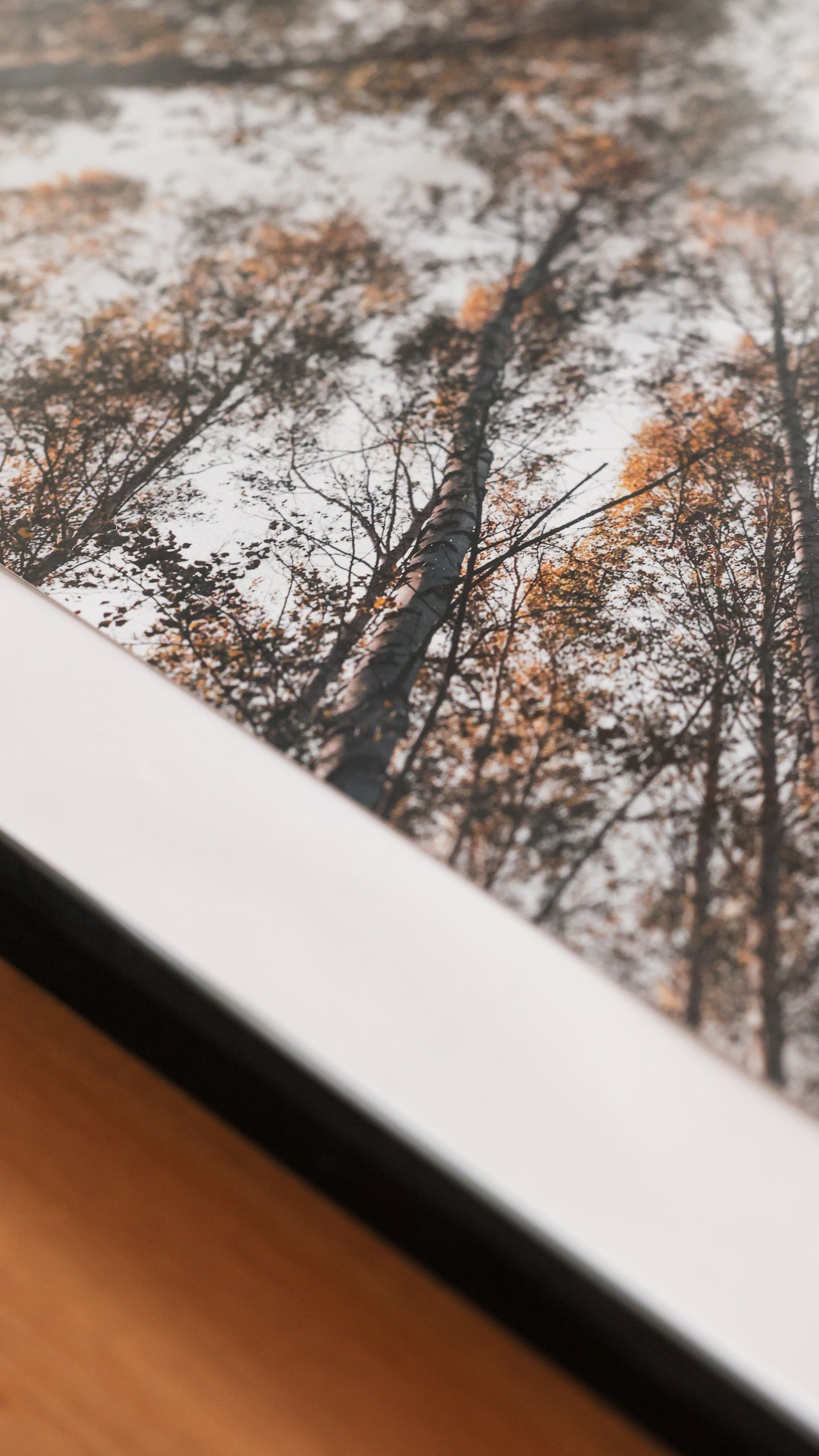 Картины. Фотограф Евграфов Александр