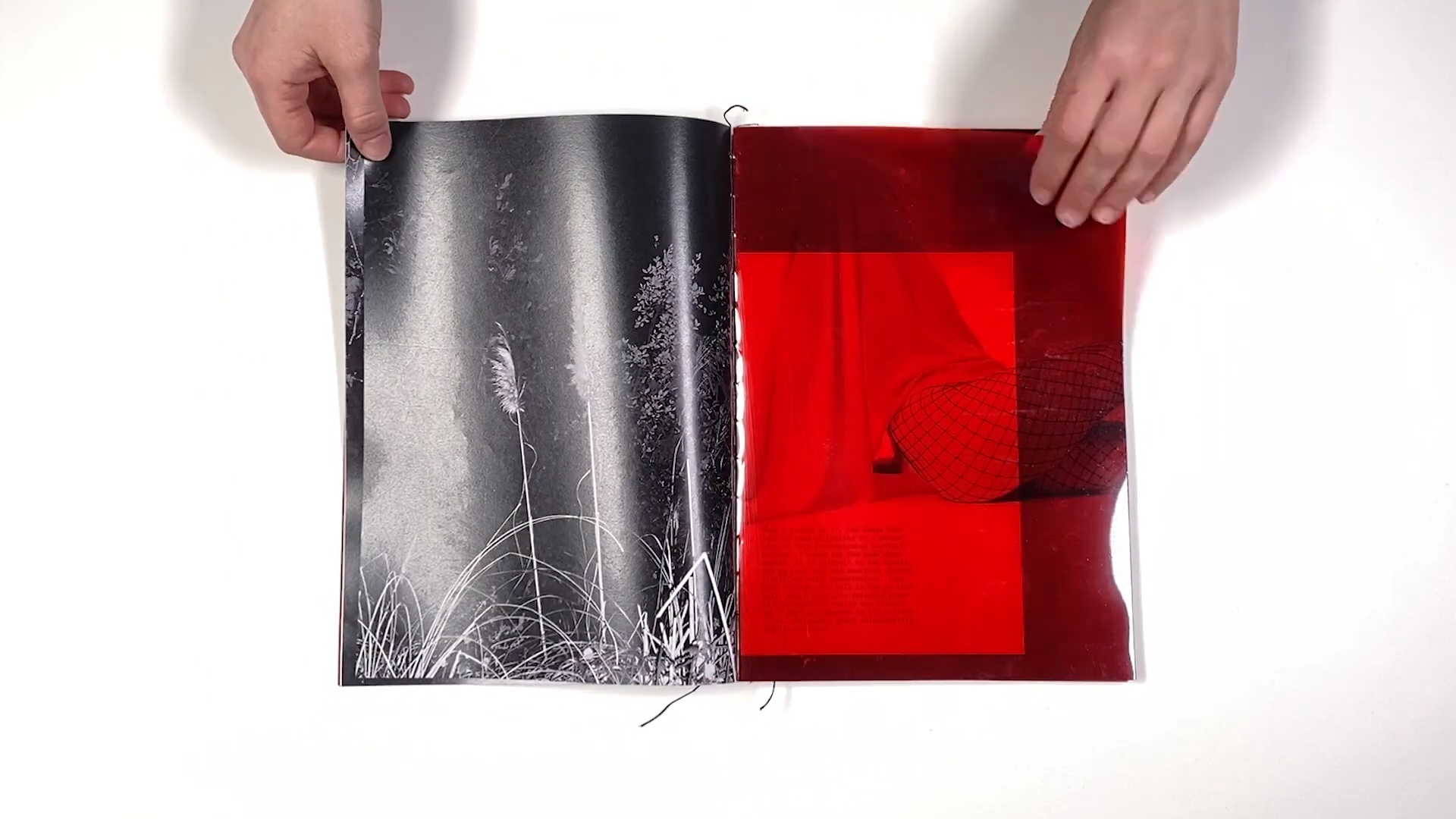 Фотокнига «Solstice» художницы Джулии Боле (Julia Bohle). Private image