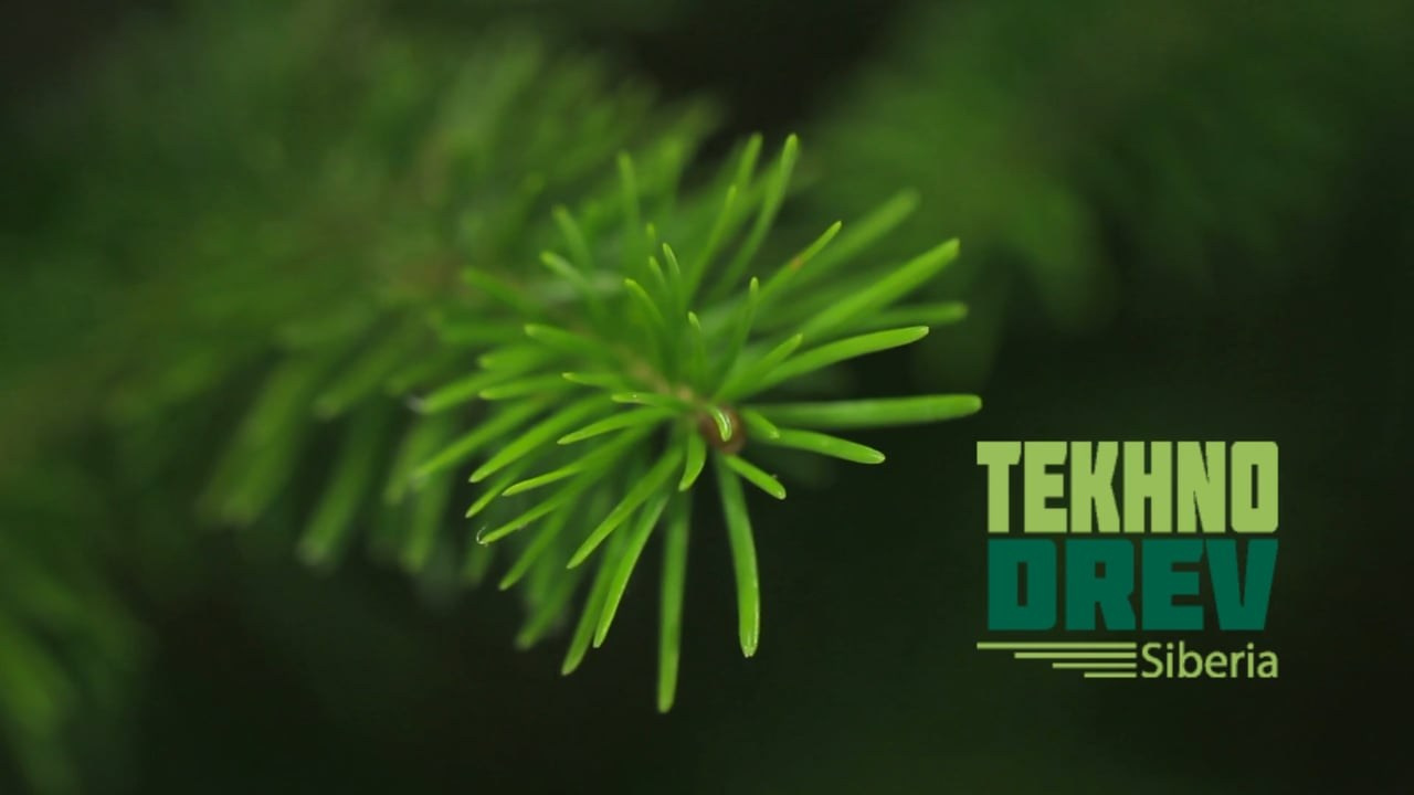 Видеоотчёты о выставках. PulseProduction