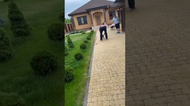 Gloria sends her greetings, a week has passed. Chinese Crested Dog Kennel Poale Ell