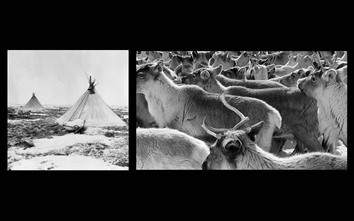 Паблик-арт проекты