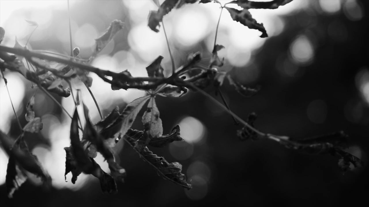 Саша Свенская — фотограф и фоторежиссер Новороссийск, Кабардинка