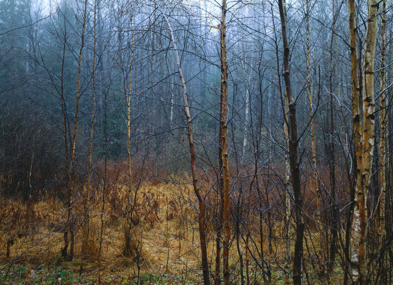 Коллекционные альбомы. ВАДИМ ГИППЕНРЕЙТЕР — ВЕЛИКИЙ ФОТОГРАФ ЗЕМЛИ РУССКОЙ