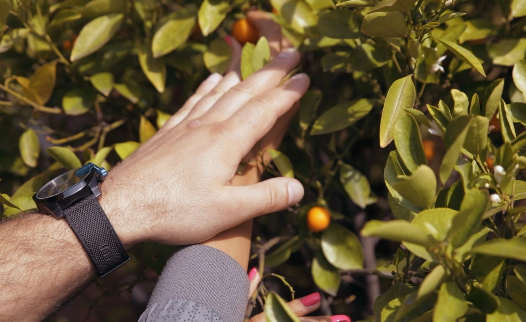 Свадебное видео. Фото-видео студия WEDDING ART