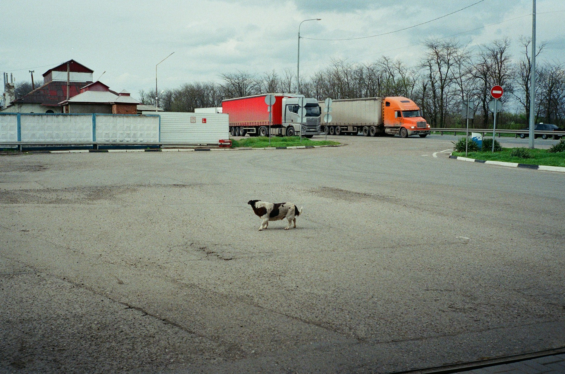 Hitchhiking. Maria Abdullaeva