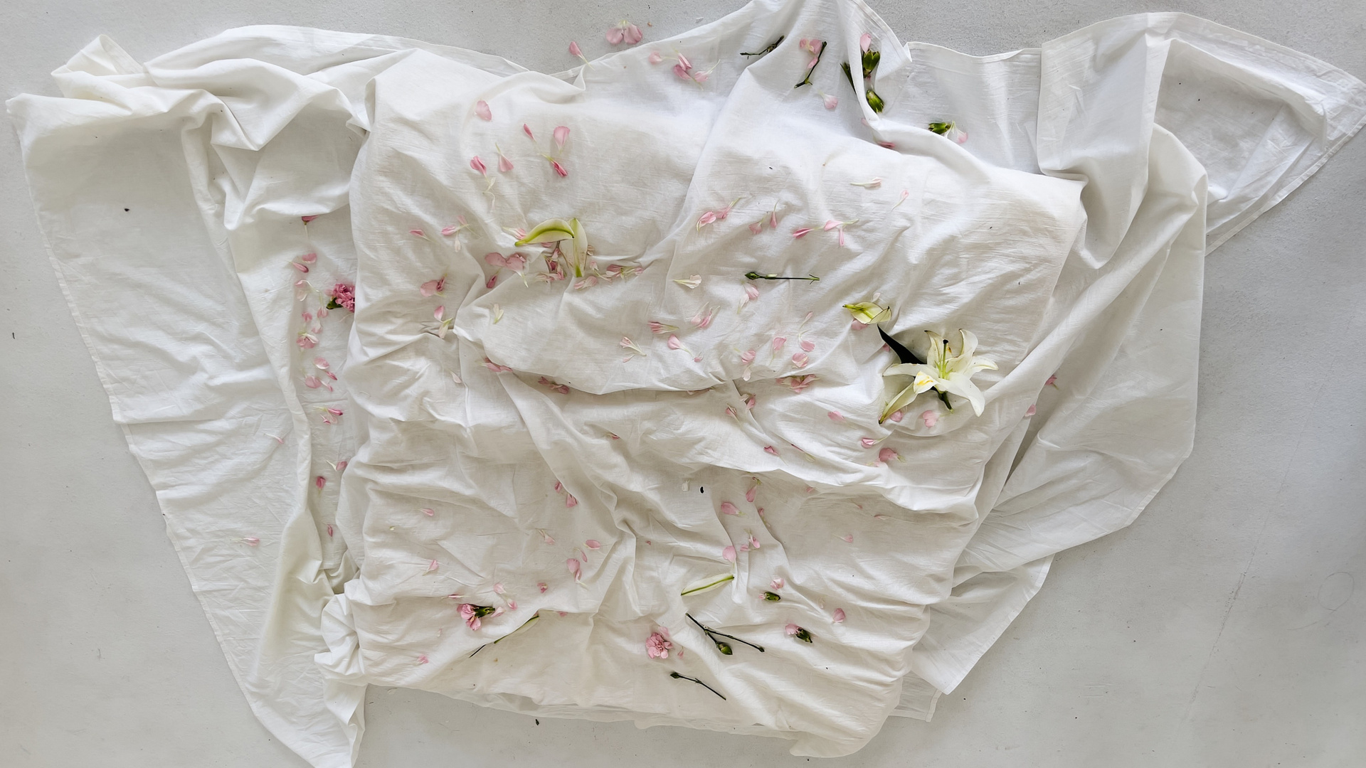 HEYDAY. Daria Blinova