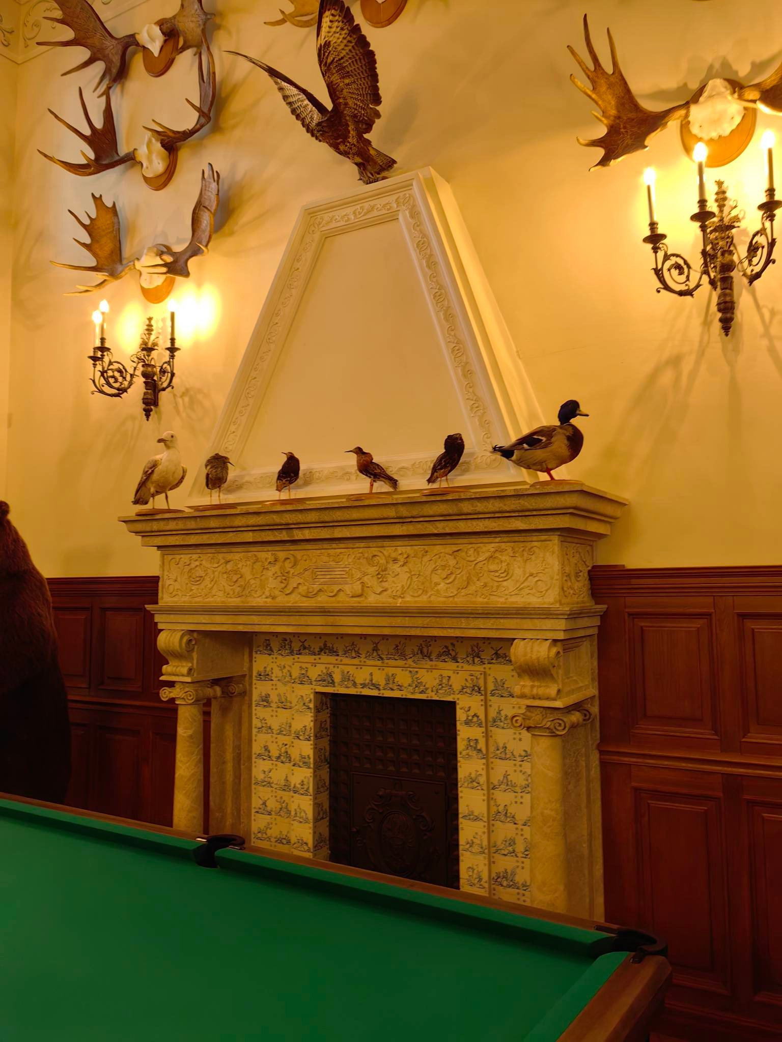 Каминные печи замка Несвиж