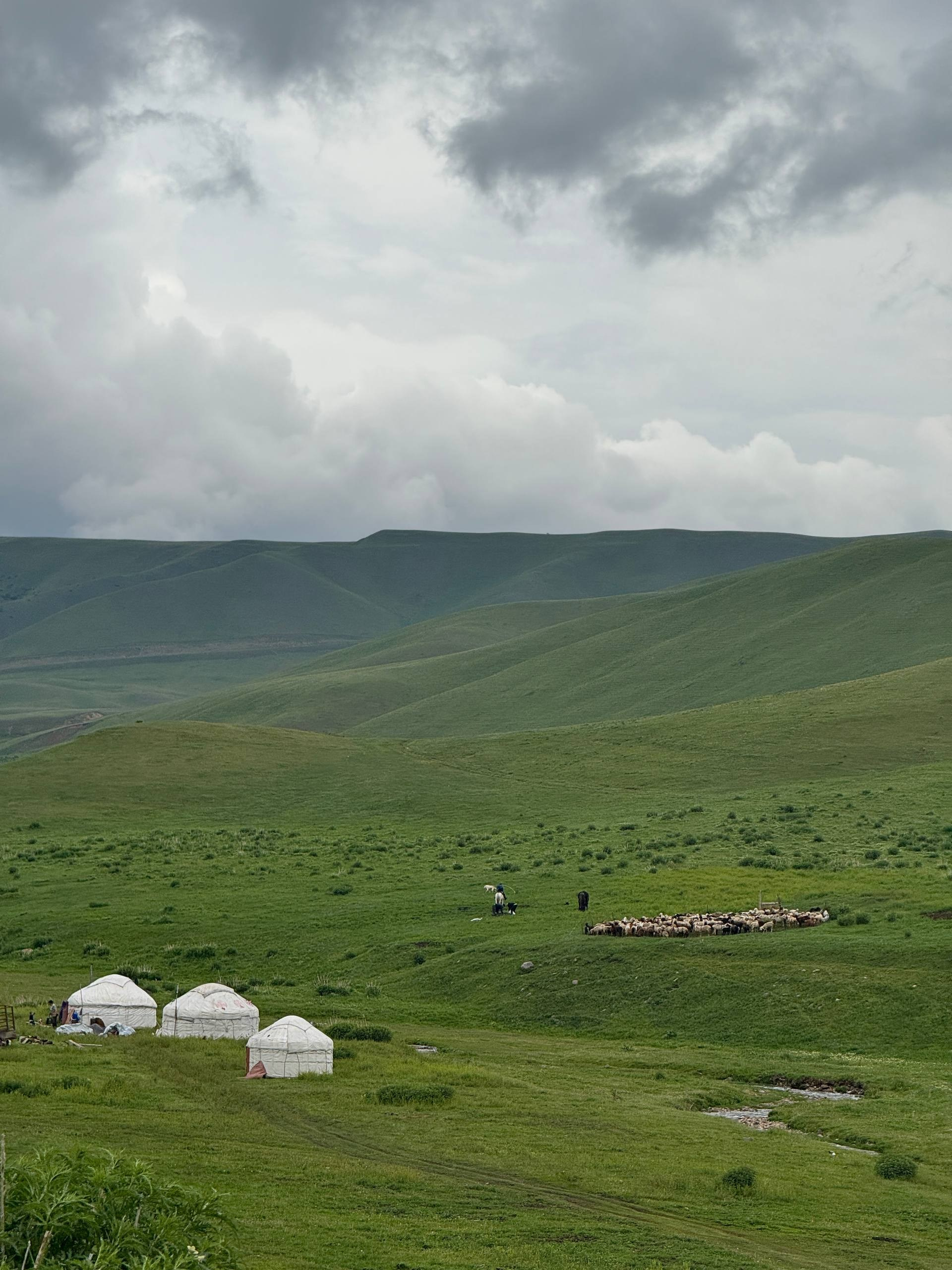 Экскурсия на плато Ассы из Алматы