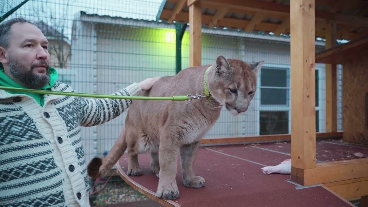 Медиа продакшн, Ян Фадеев, создание видео и фото, Москва, Россия