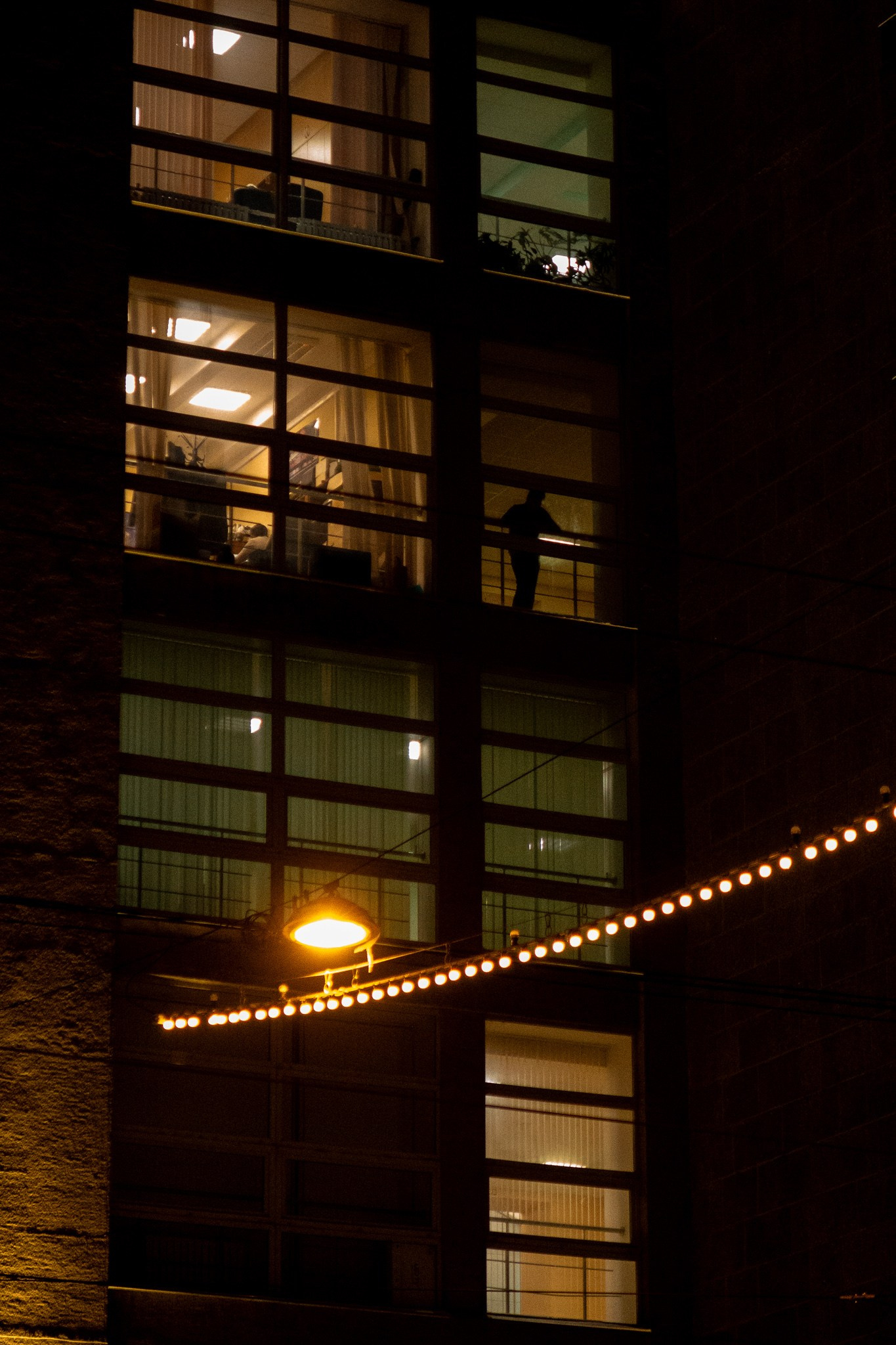 Новогодняя поездка в Санкт-Петербург. Павел Шарапов | Фотограф | Москва