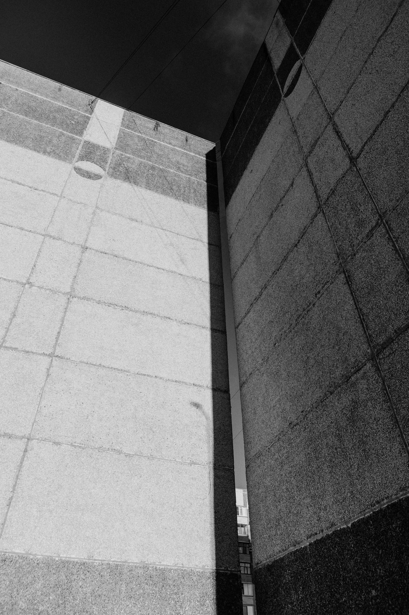 Мужская фотосессия с собакой в Тюмени — Саша и Тони. Фотограф Дарья Мустафина, Тюмень