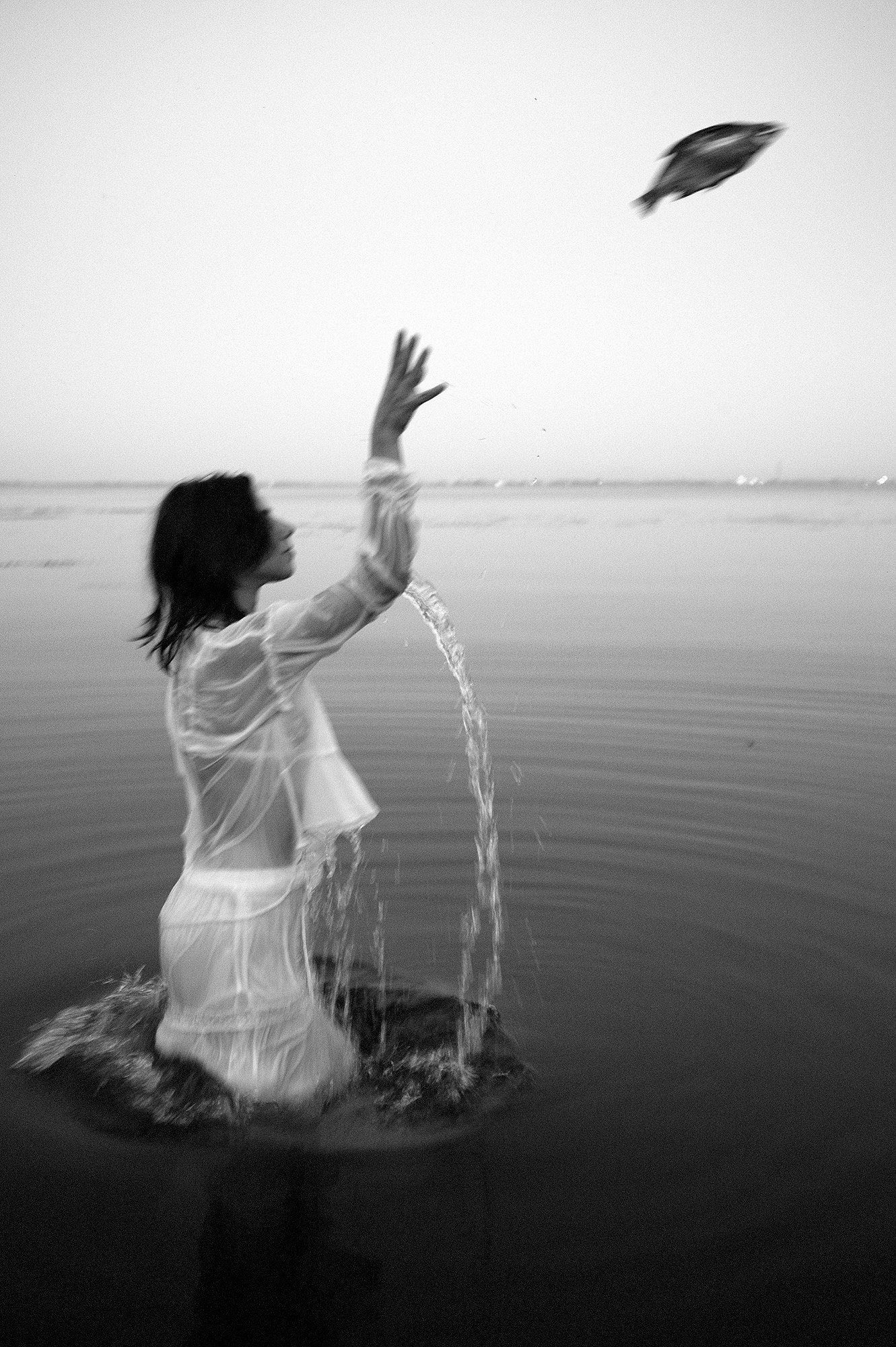 Евгений Холодок