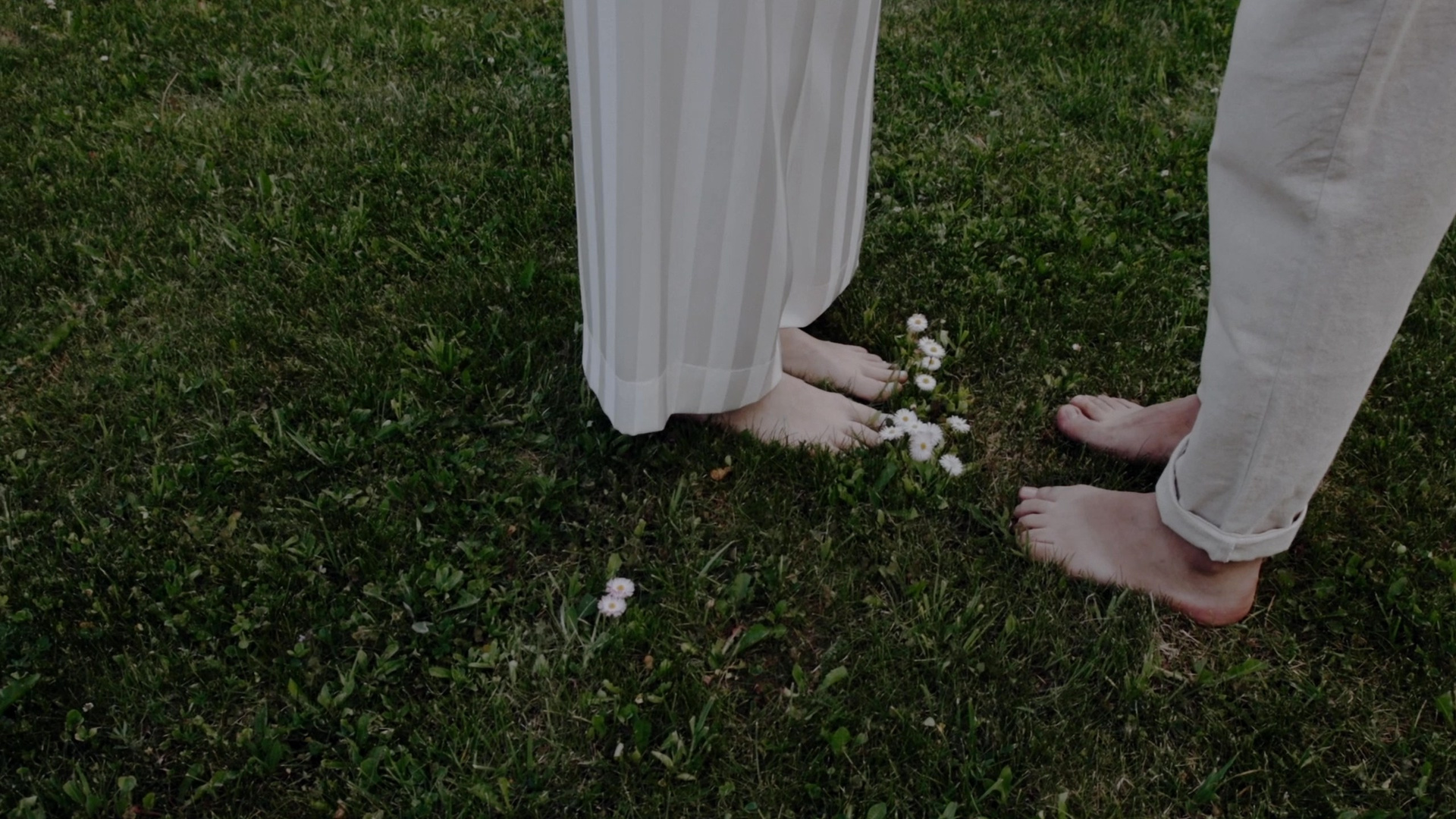 Видеограф Гальцев. Подрядчики и друзья сети свадебных площадок House for wedding