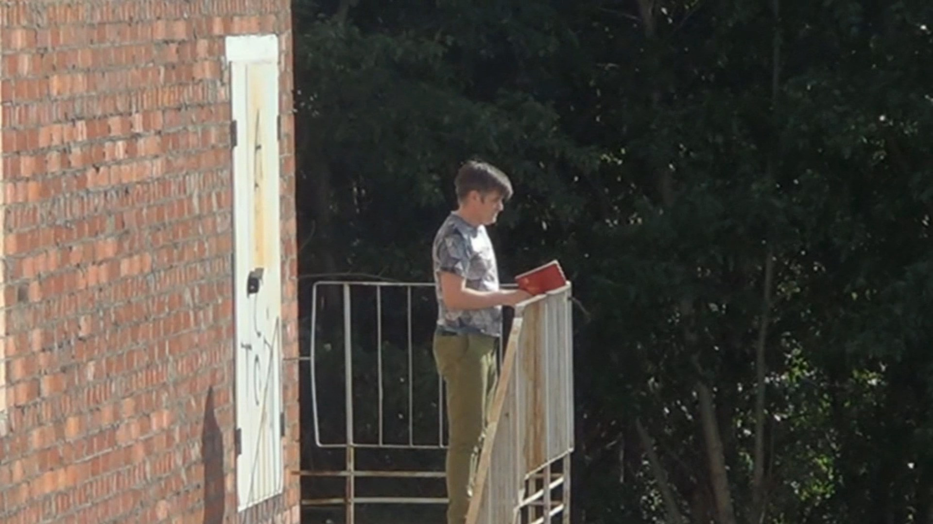 Красная книга. Художник Олег Семёновых