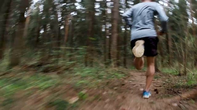 Видео. Павел Шарапов | Фотограф | Москва