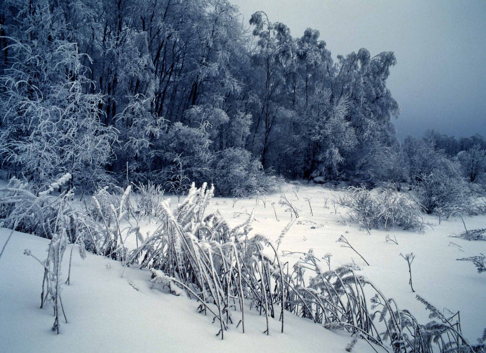 Коллекционные альбомы. ВАДИМ ГИППЕНРЕЙТЕР — ВЕЛИКИЙ ФОТОГРАФ ЗЕМЛИ РУССКОЙ