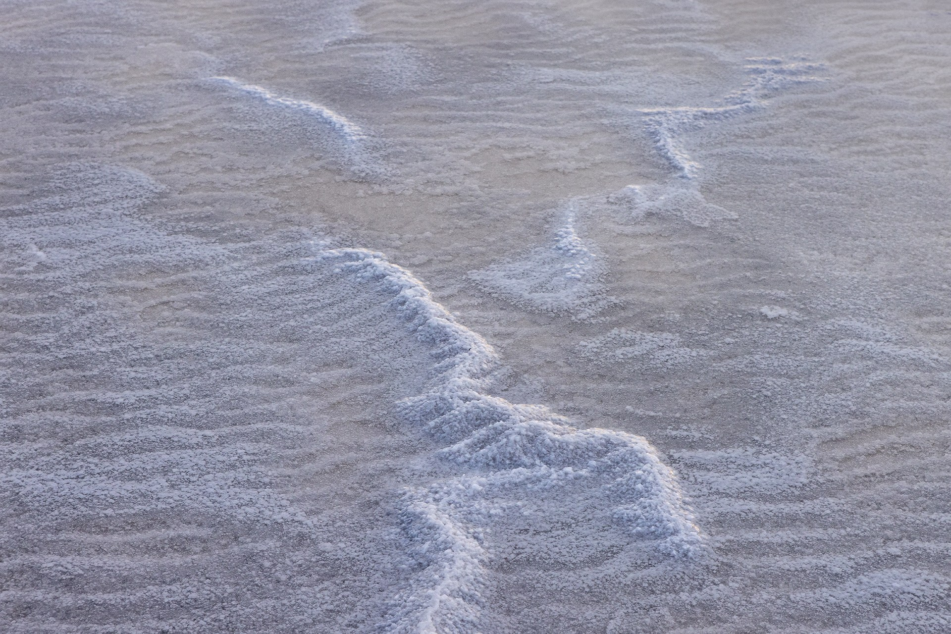 Волгоградская и астраханская области Весна 2026 | Фотограф Дмитрий Купрацевич. Дмитрий Купрацевич профессиональный пейзажный и travel-фотограф