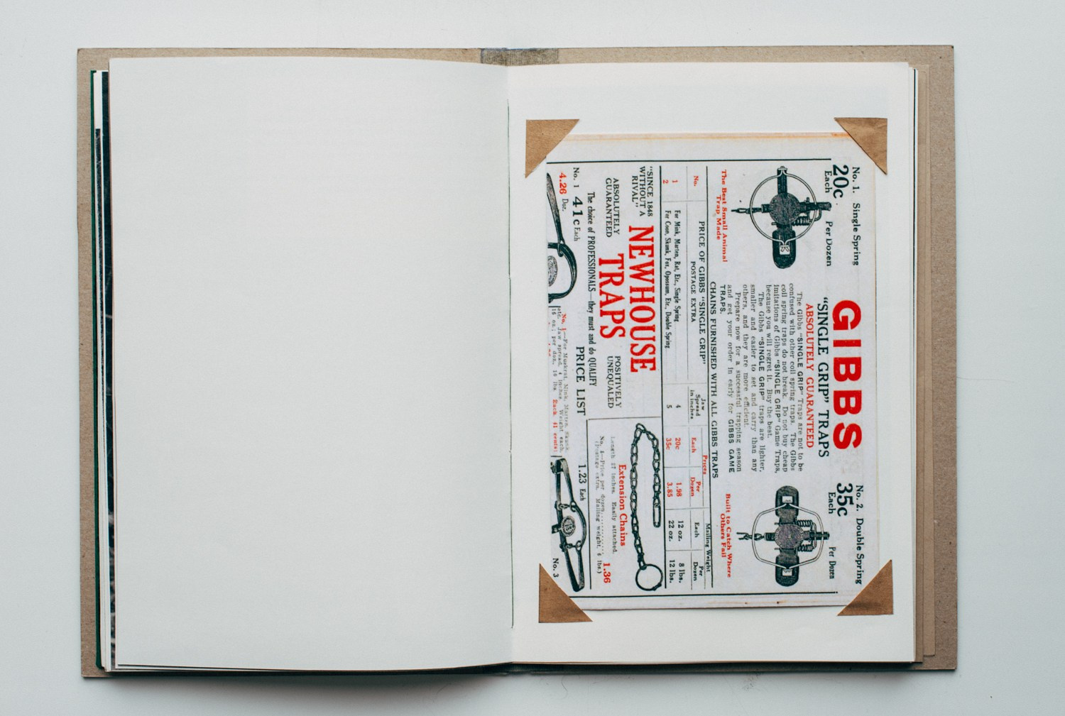 About forest, traps and sorrow. Main