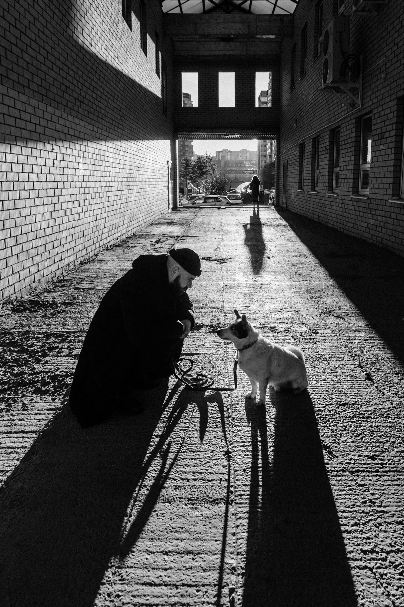 Мужской портрет на прогулке. Дружба человека и собаки в кадре.