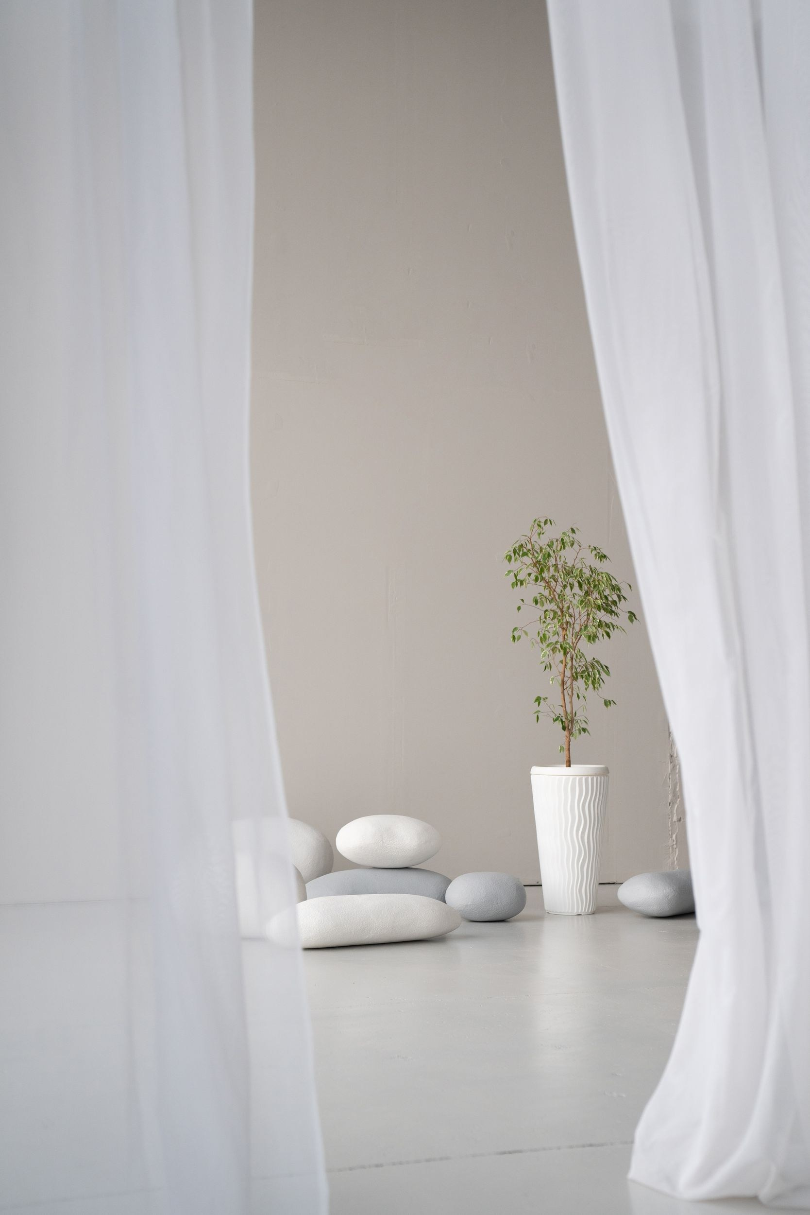 Фотостудии Калининград. Свадебный фотограф Калининград Пасюта Данила