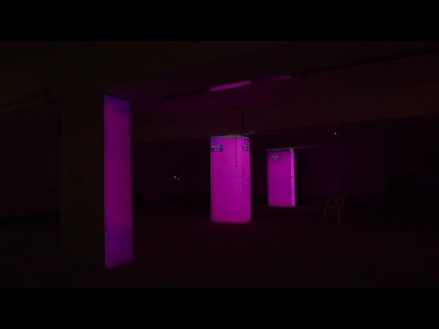 56,0123320, 38,39001773. Козлова Екатерина. Междисциплинарная визуальная художница