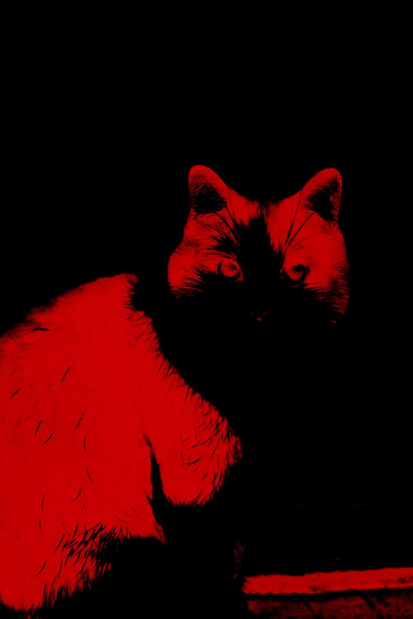 Скрытая иллюминация. Катрин Эдельвак