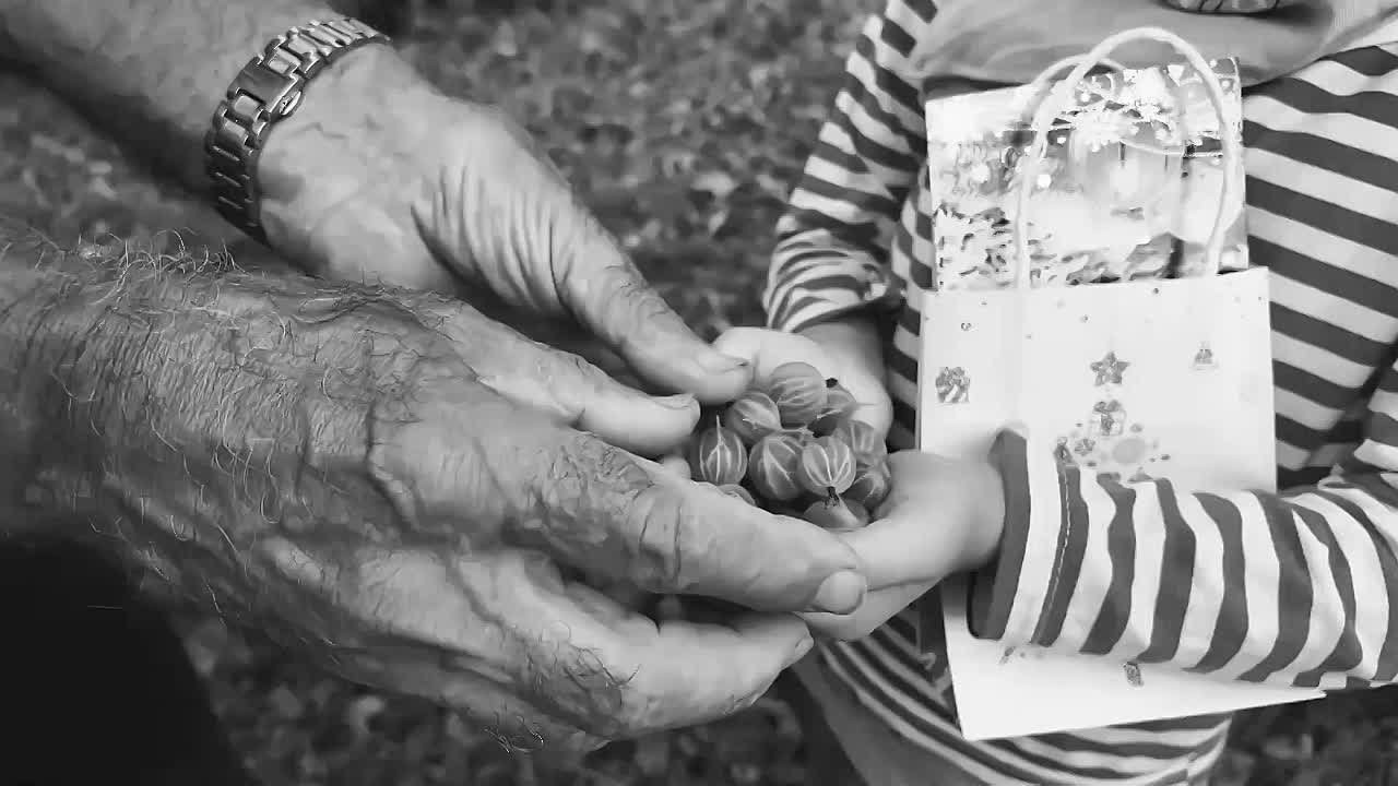 Услуги. Документальная семейная фотография в Москве | Сергей Давыдов