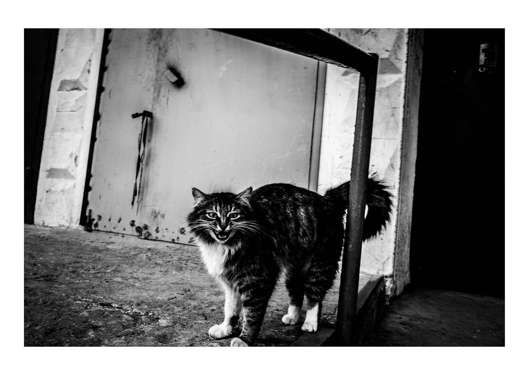 Необычные открытки с видами Воронежа. Porto Photographer Kristina Brazhnikova