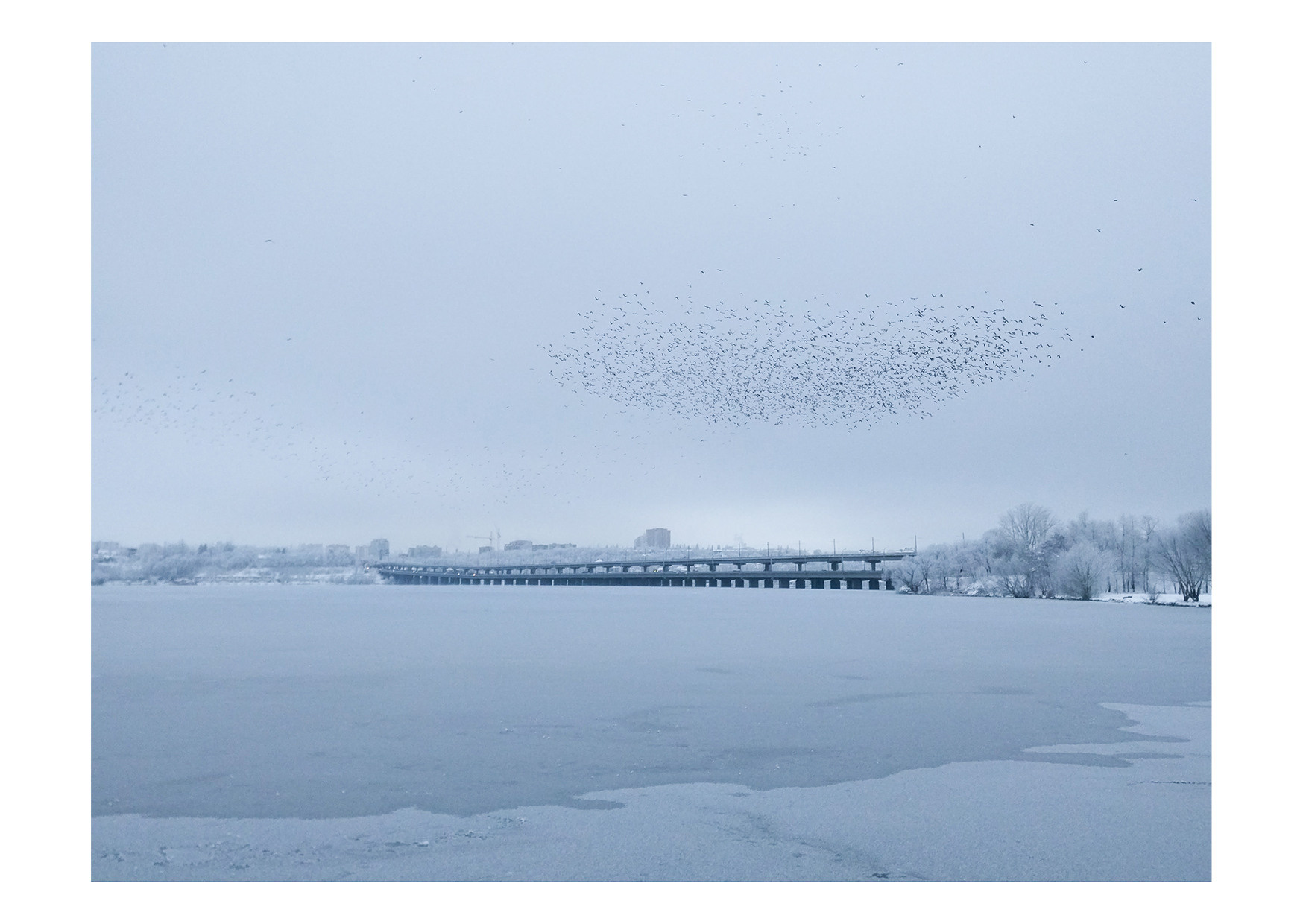 Необычные открытки с видами Воронежа. Porto Photographer Kristina Brazhnikova