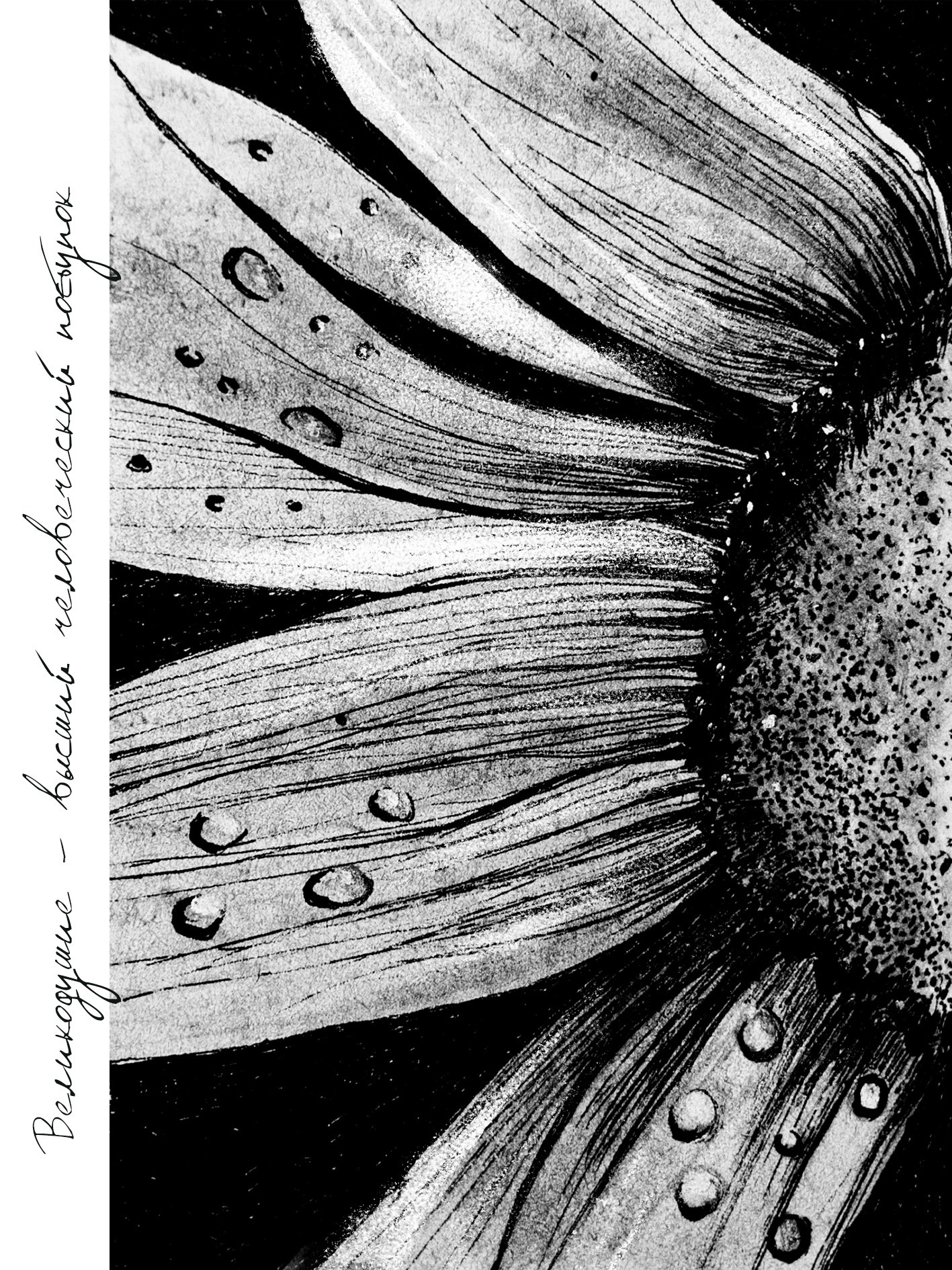 Авторские открытки. May the numbers guide us