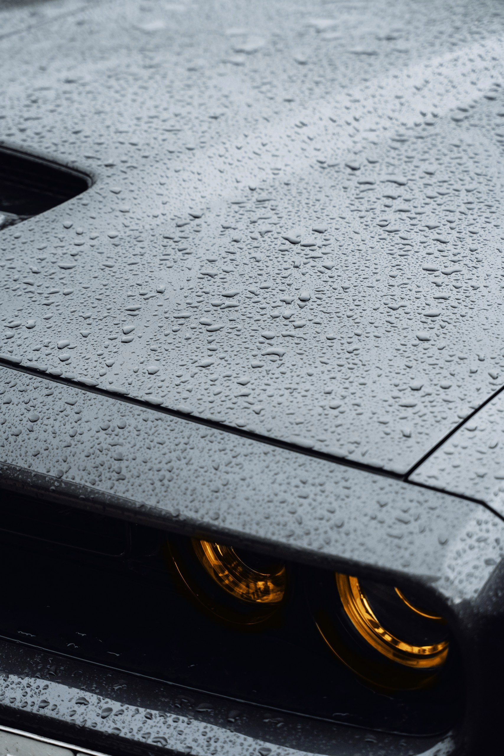 Никита и Маша. Свадебный фотограф Анжелика Сариева