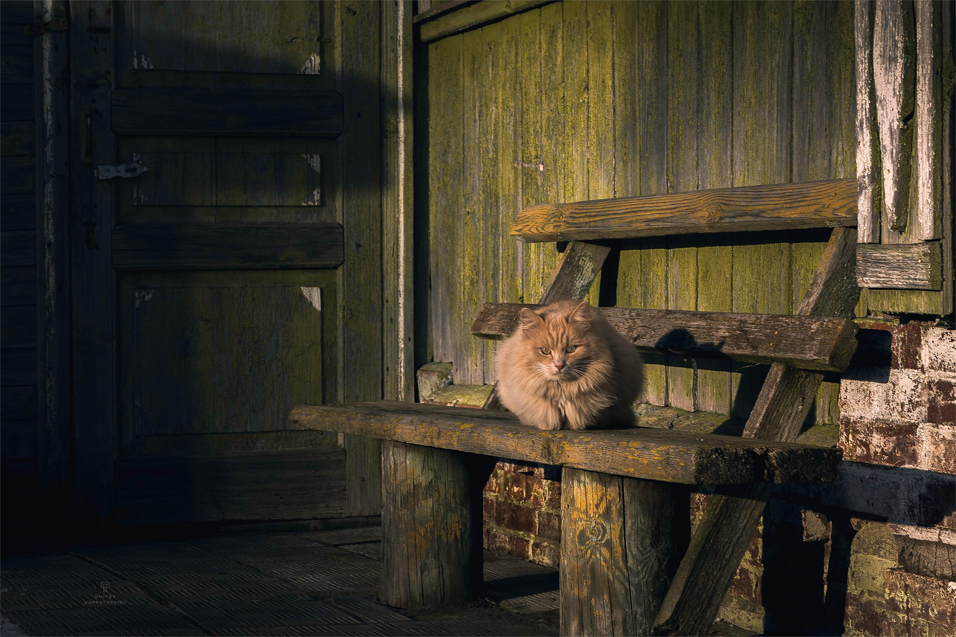 Суздаль и Плес Зима 2026 | Фотограф Дмитрий Купрацевич. Дмитрий Купрацевич профессиональный пейзажный и travel-фотограф