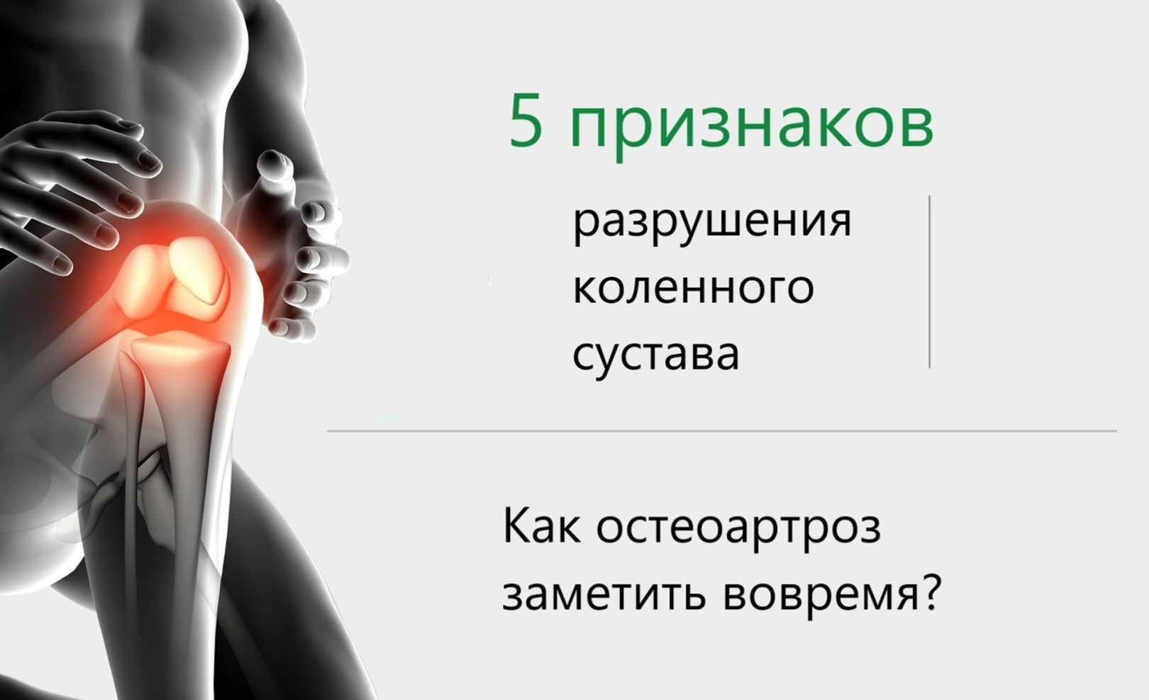 Фаговит борется со старением организма. Сово-Сово — Омоложение и оздоровление!