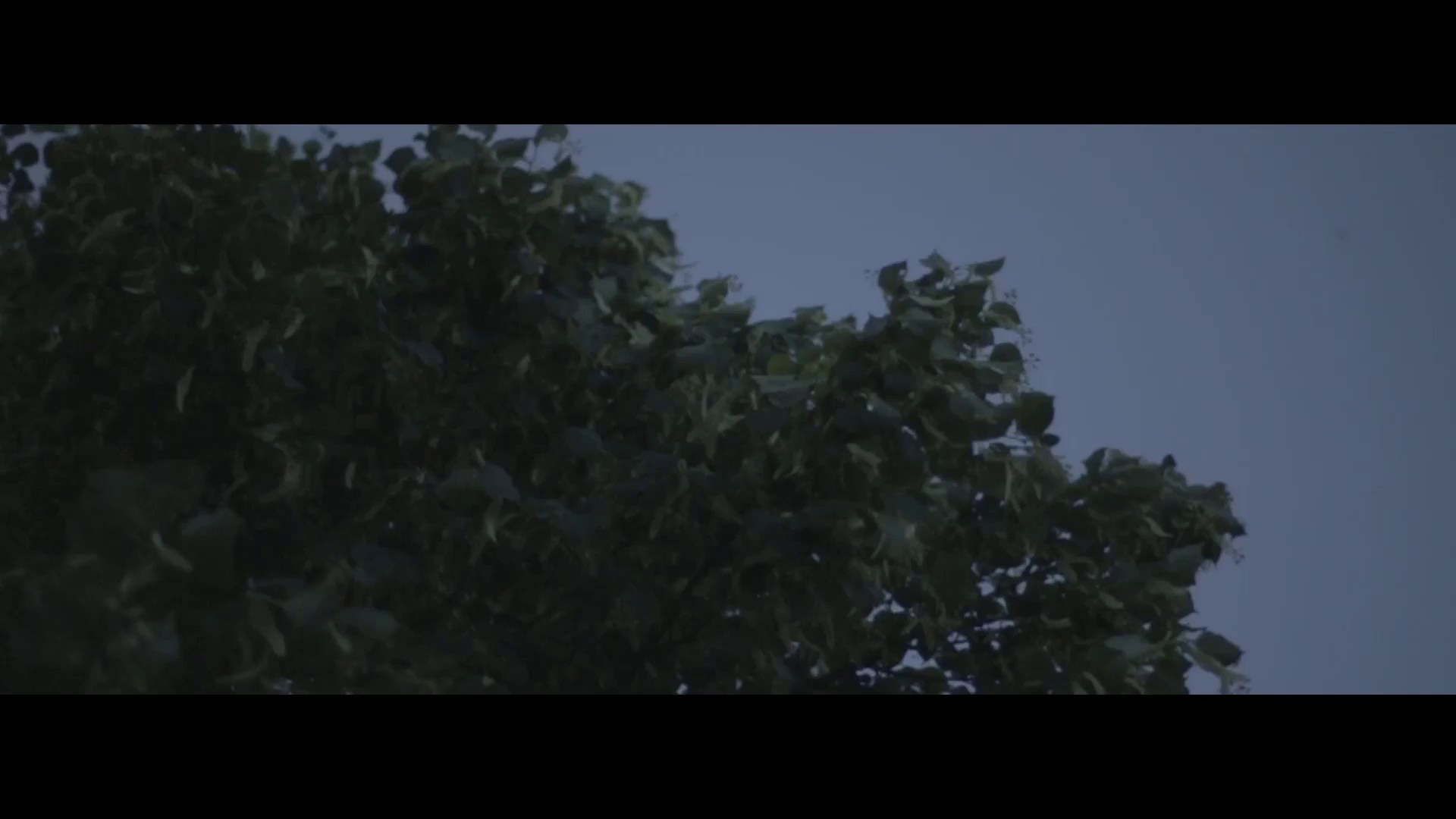 Креативный продюсер, фотограф, режиссёр Але Мааранен (Ale Määranen)