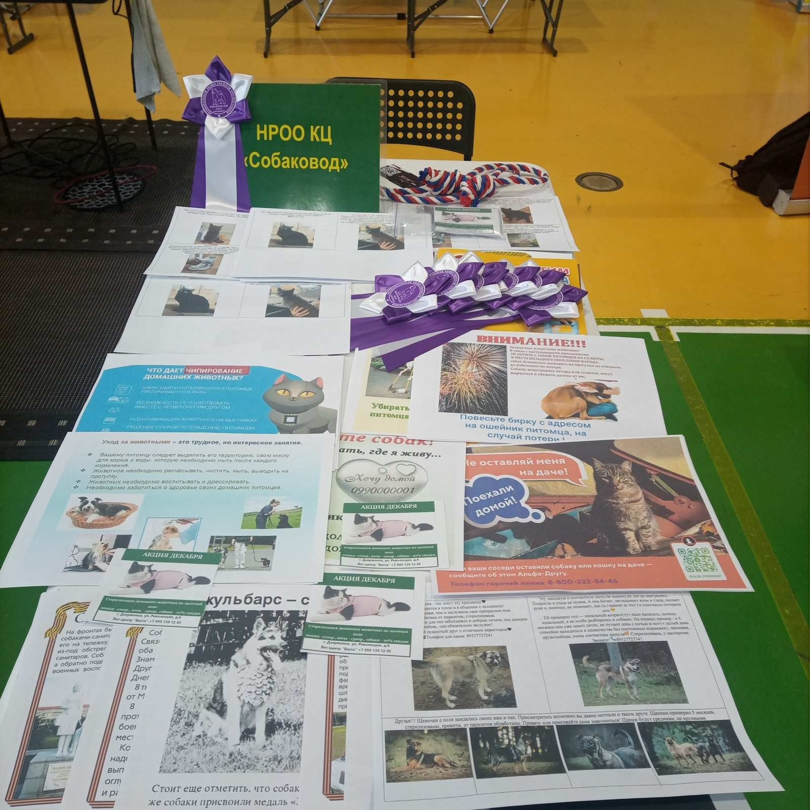 Фестиваль «Город добрых людей». НРОО КЦ "Собаковод"