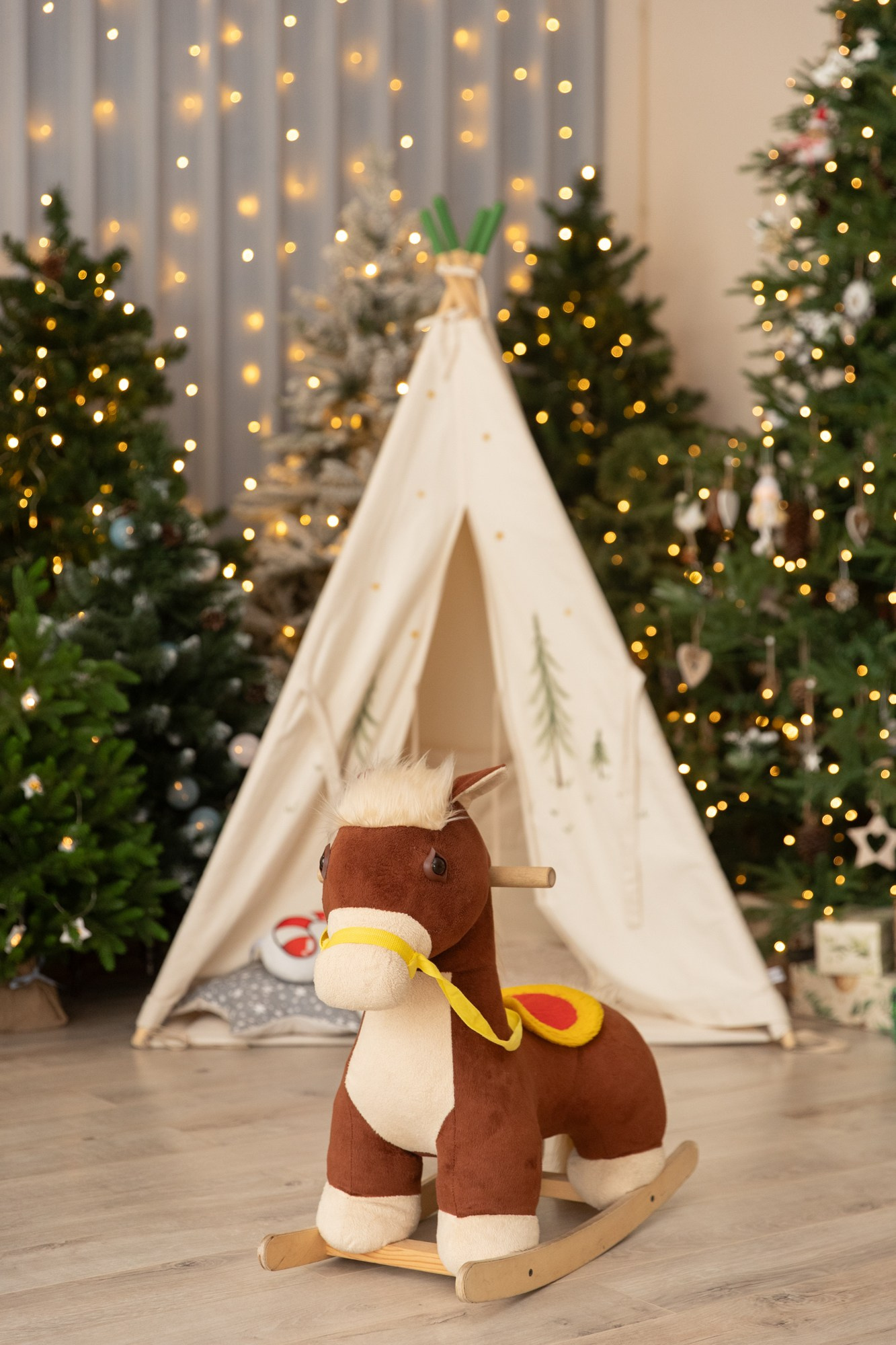 Фотостудия НГ. Профессиональный фотограф Анастасия Кохно