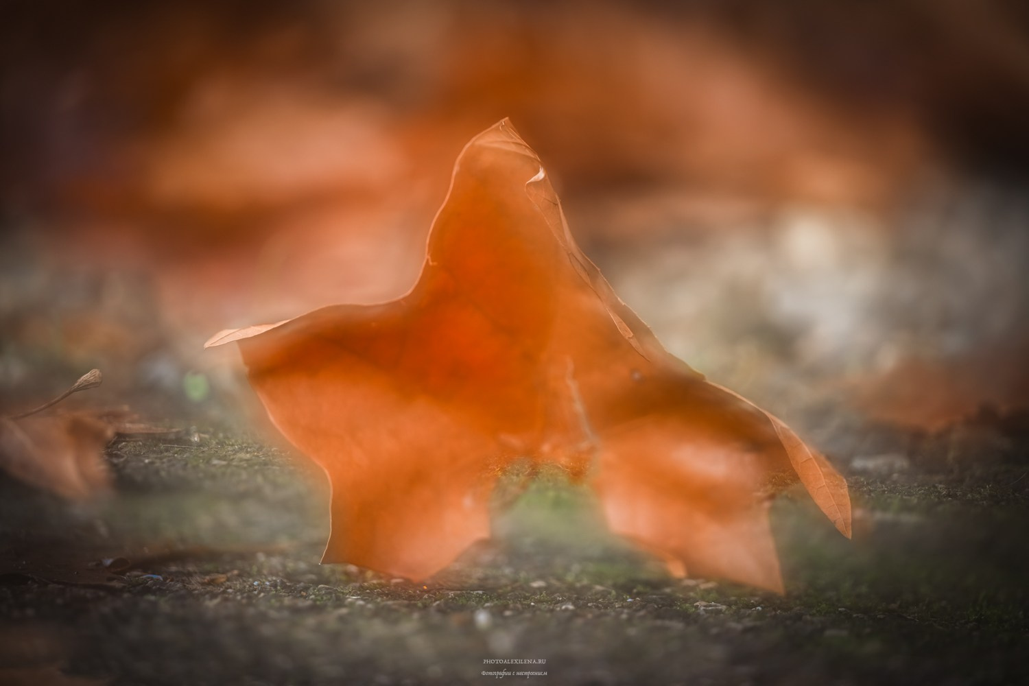 Vittoriale degli Italiani-Бывшая резиденция Габриеле Д’Аннунцио. Авторские стильные фотокартины