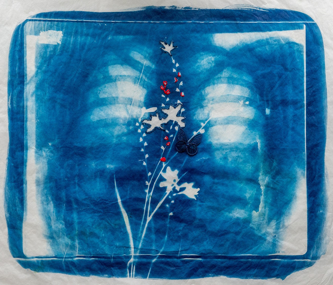 CYANOTYPE. CONTEMPORARY ARTIST OLGA ANDRIYASH