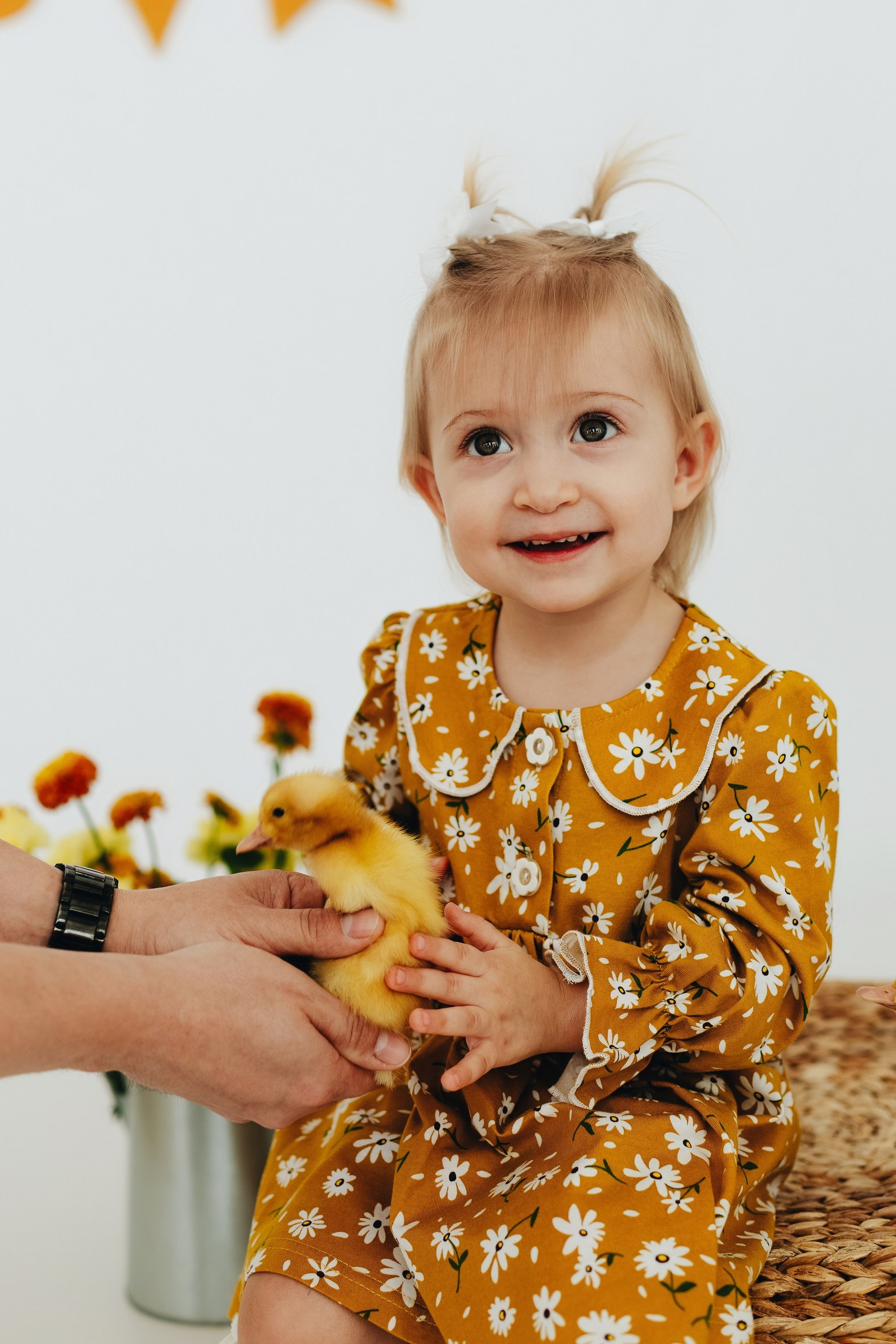 Детские фотосессии с утятами в Железнодорожном и Балашихе