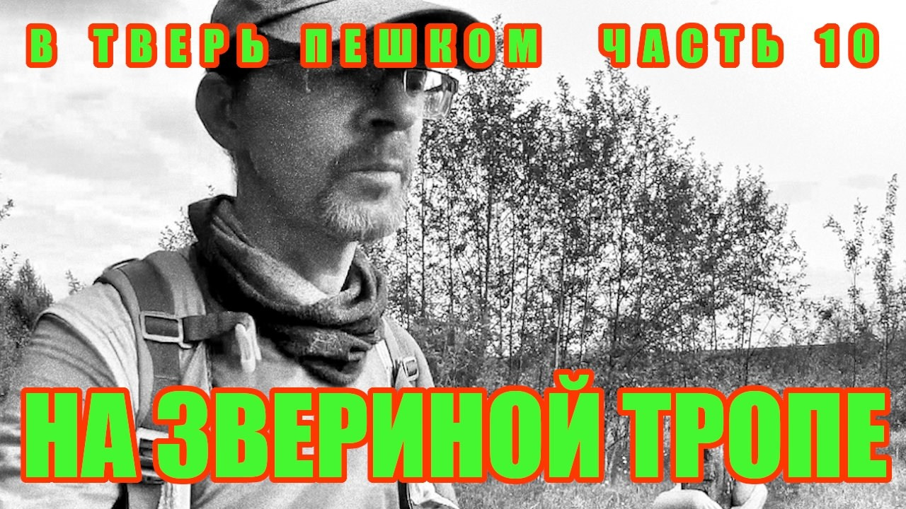 Контакты. Влад в походе