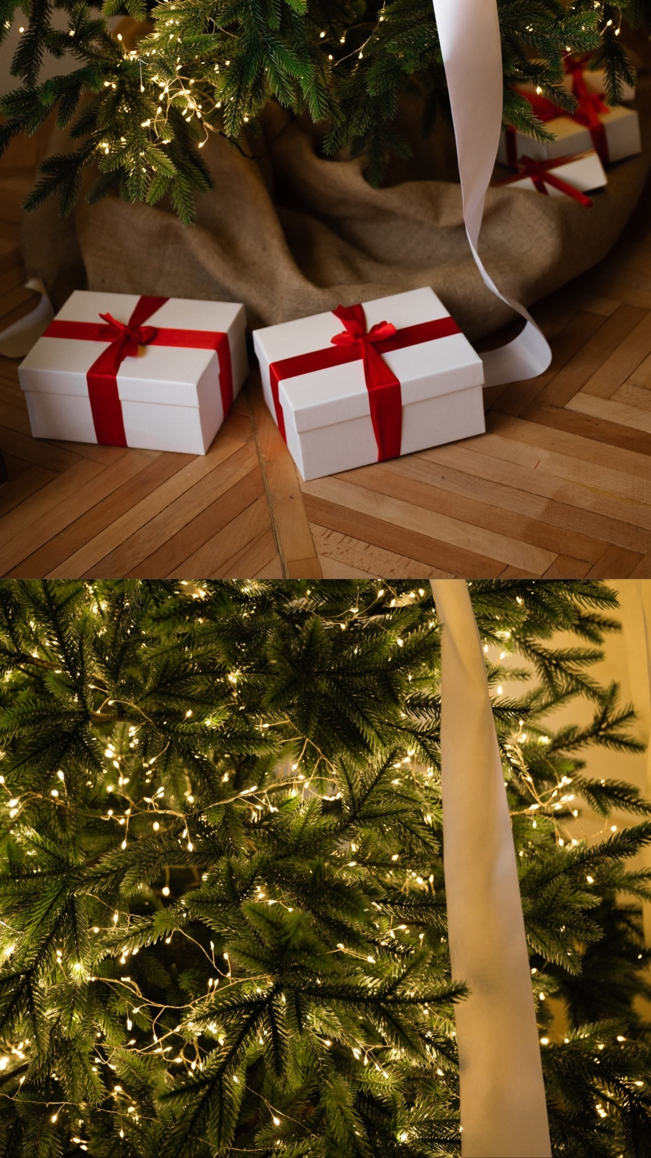 Фотостудии г.Липецк. Фотограф Екатерина Лёвушкина