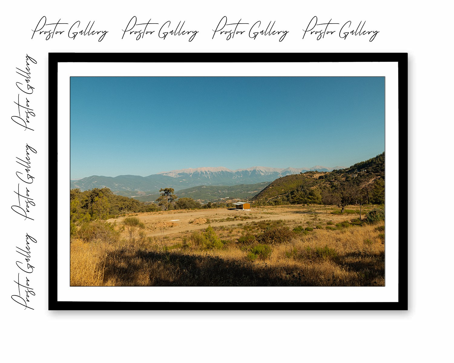 «Простор» | Онлайн-галерея. Danny Morgunovsky