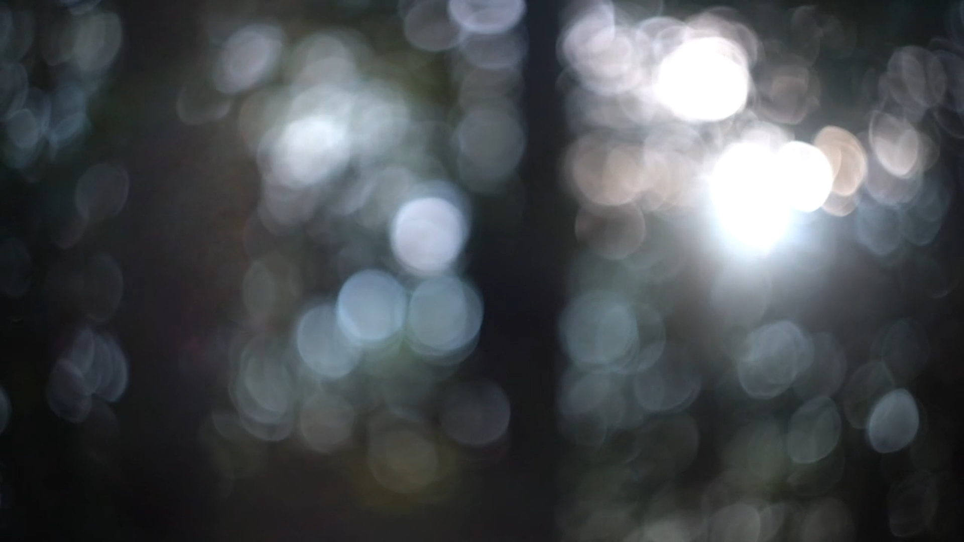 Семейная съемка: ответы на вопросы. Ася Краснова