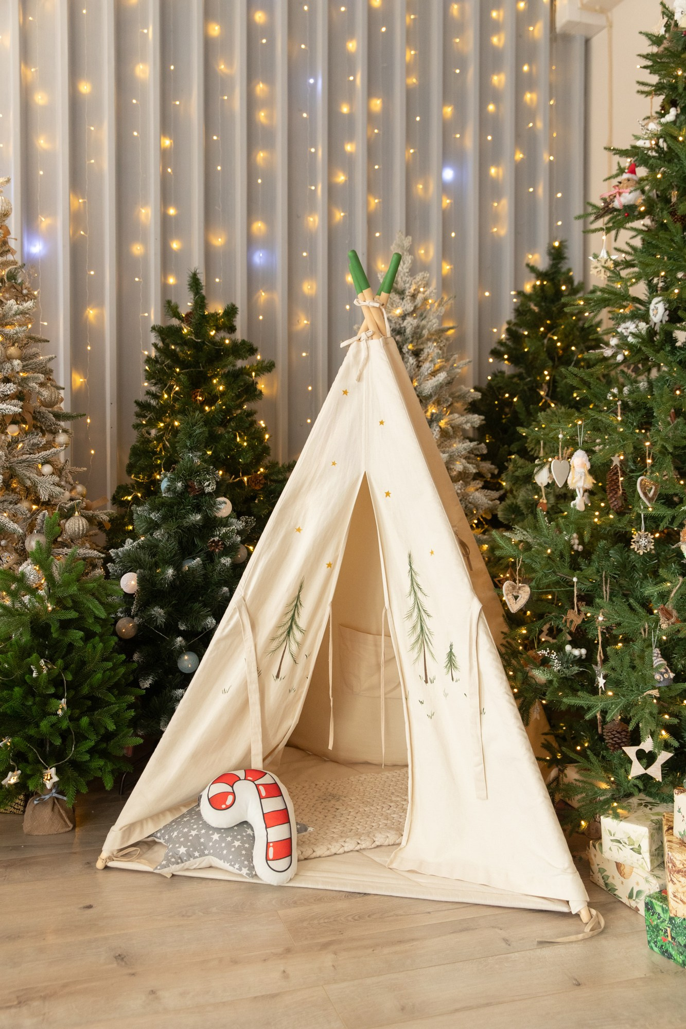 Фотостудия НГ. Профессиональный фотограф Анастасия Кохно