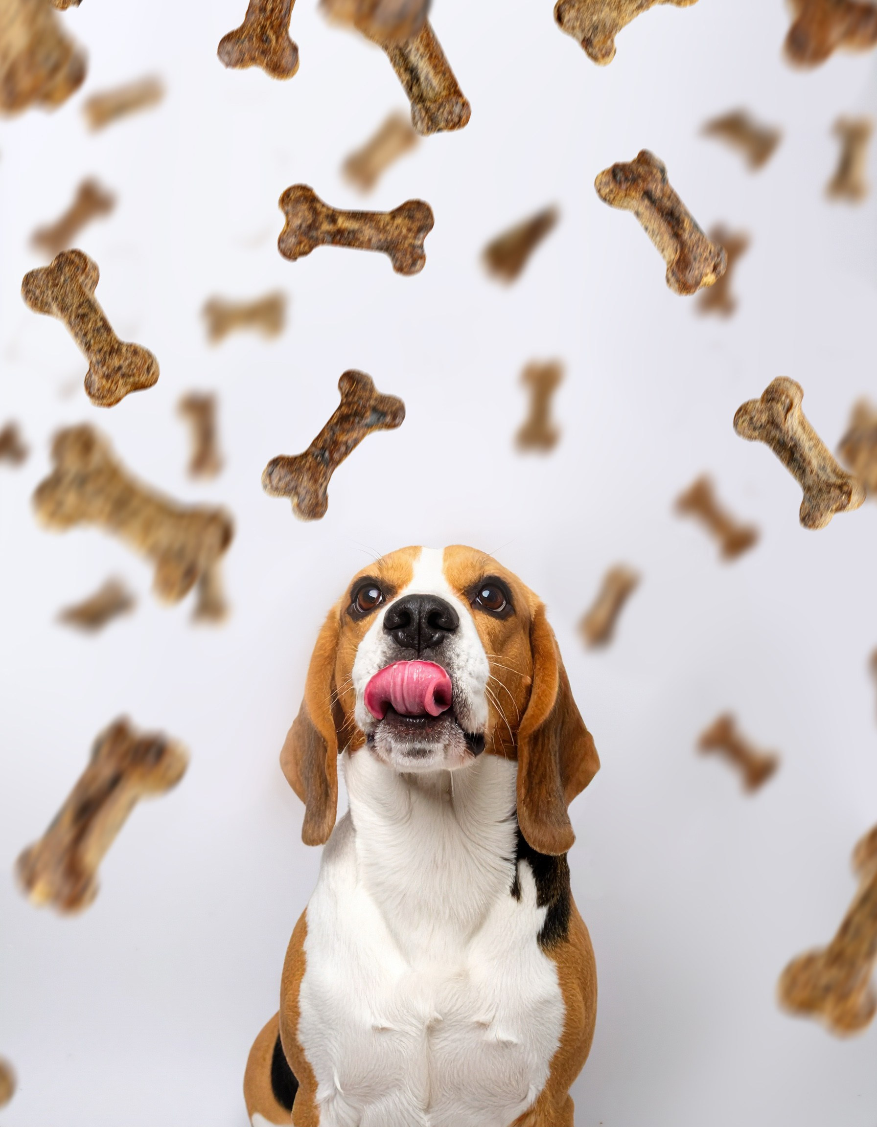 Предметная фотосъемка в СПб | Gus'Photo