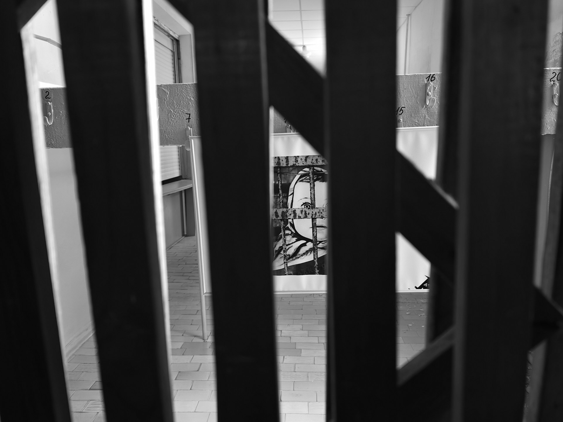 Медынь 12.06.2024. Фотострелка