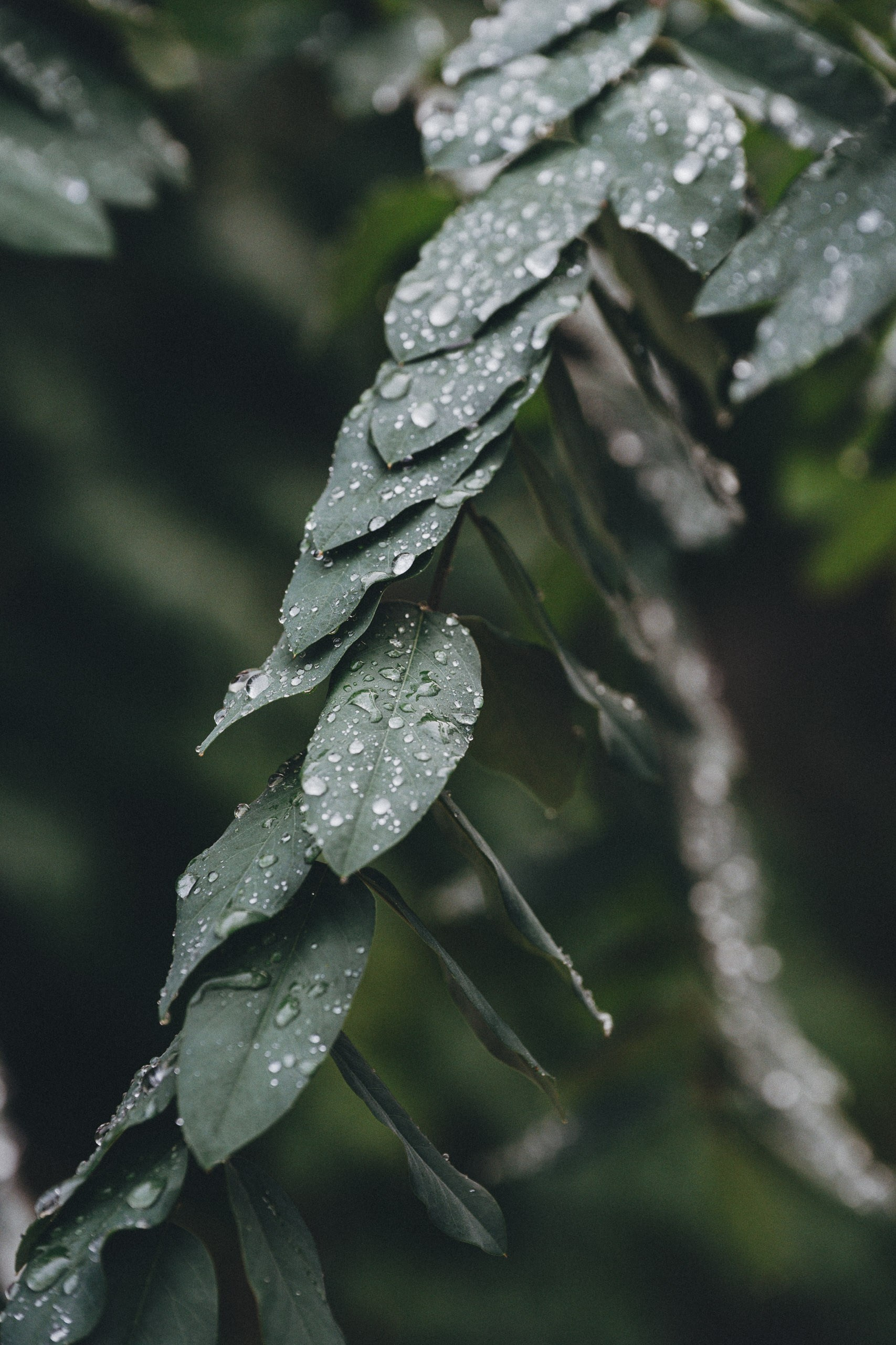 Визуальные заметки