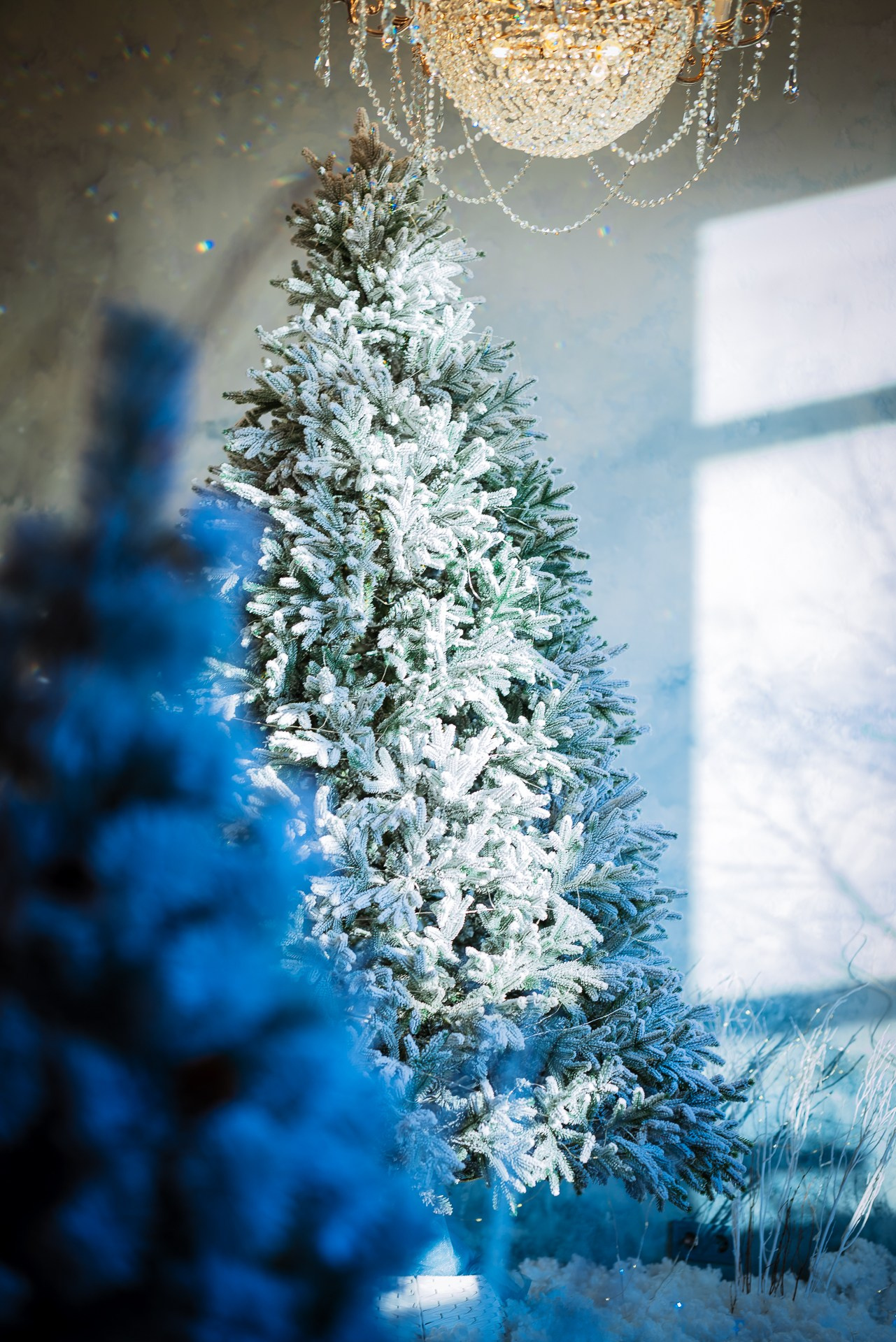 Фотостудия интерьерная в Туле — Давинчи |Davinci