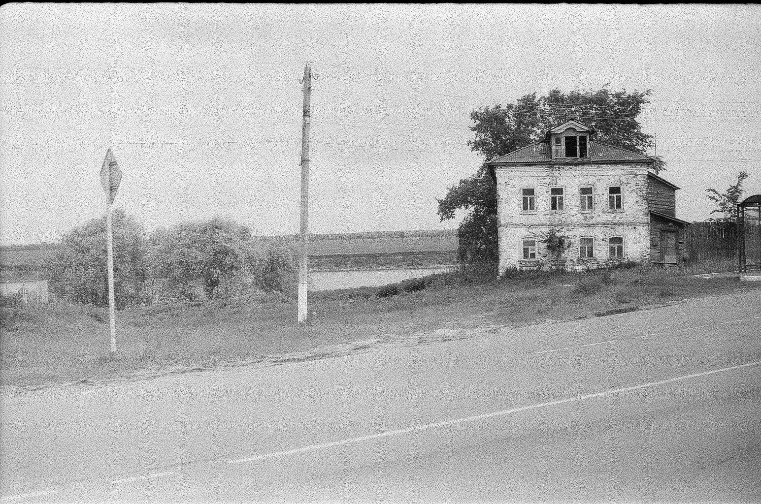 Плакучая ива. Фотограф-любитель Ксения Мирзоян